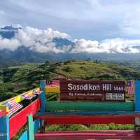 Great moment in nature view
