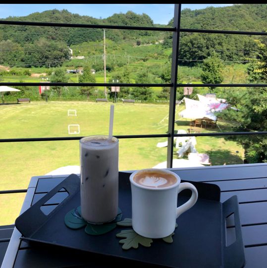 애견 동반 가능한 충주 비채커피 :) 