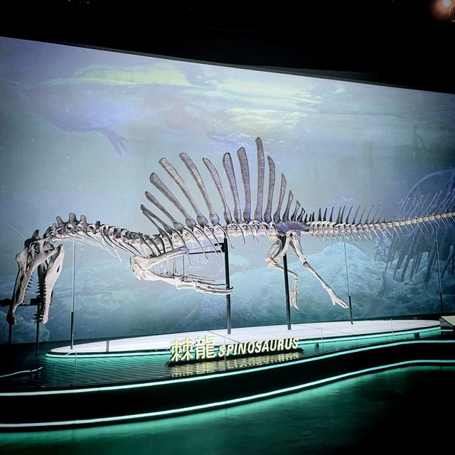 小心！ 🦖🦕嚟啦！