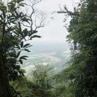 桃園 溪洲山 