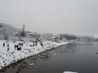 Lake inawashiro , Fukushima 
