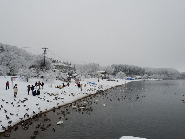 Lake inawashiro , Fukushima 