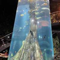 Aquaria KLCC