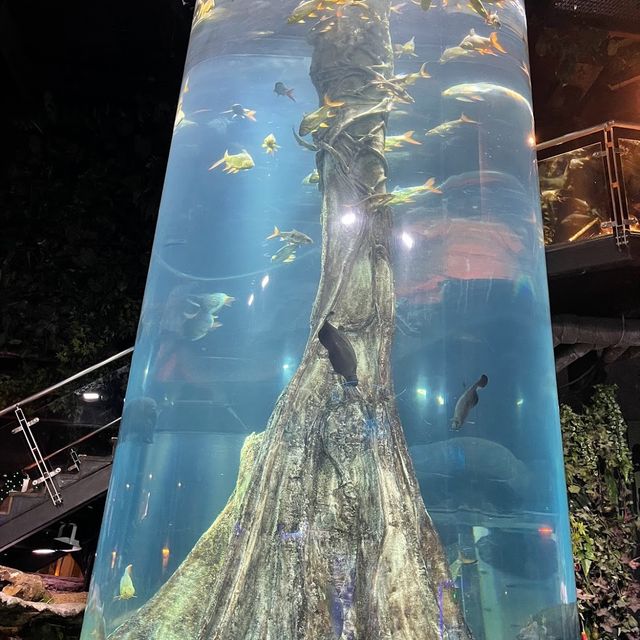 Aquaria KLCC