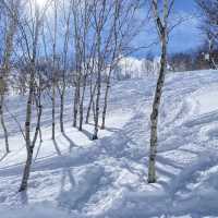 北海道二世谷滑雪之旅