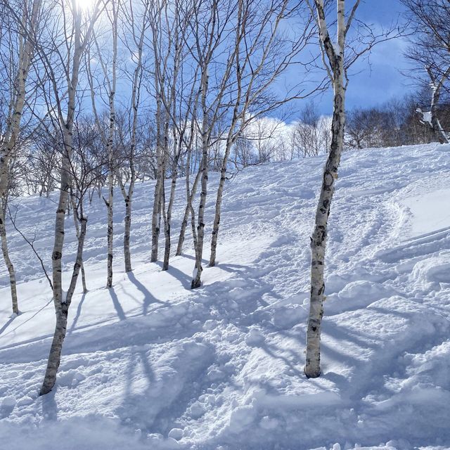 北海道二世谷滑雪之旅