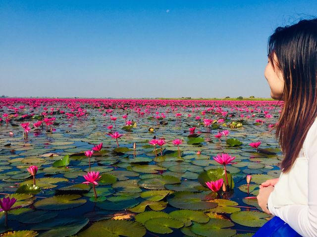 RED LOTUS SEA 