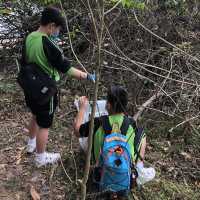 到海下灣海岸公園清潔及遊玩