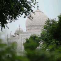 Moments at The Taj Mahal Palace, India
