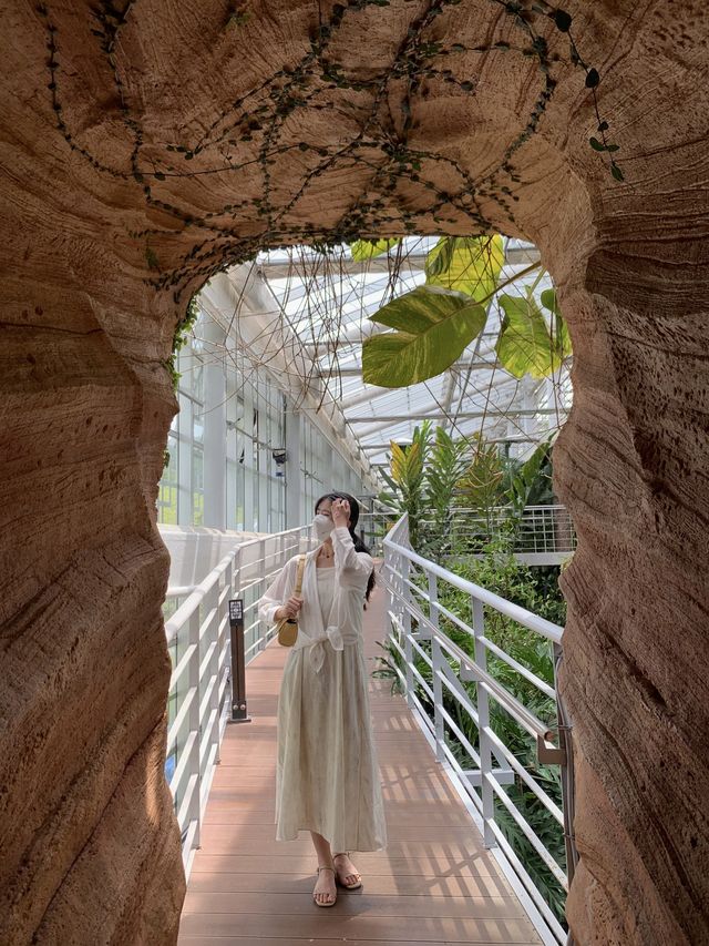 실내에서 찾은 숲 🌲