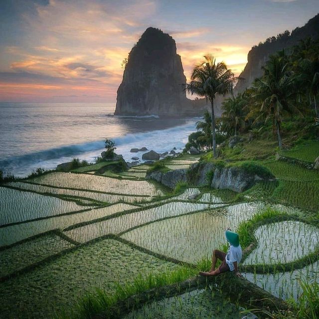 PANGASAN BEACH - PACITAN