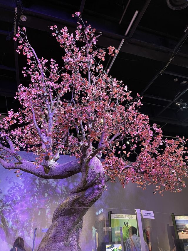 Toy Story迷Pixar展覽館😍