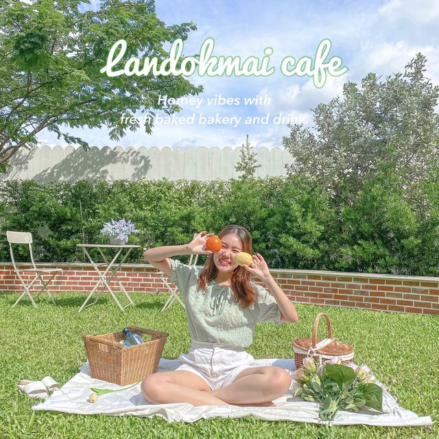 ลานดอกไม้คาเฟ่ 💐🏘🌳🐰🏠