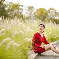 คาเฟ่ริมทะเลสาบ ใกล้ชิดธรรมชาติ | เขาใหญ่