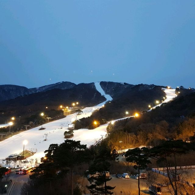 무주 덕유산 리조트 ❄