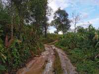 ดอยสายหมอก จุดชมวิวทิวเขา 360 องศา
