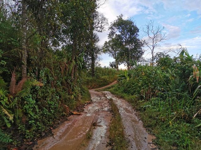 ดอยสายหมอก จุดชมวิวทิวเขา 360 องศา