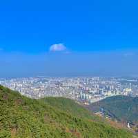 [🇰🇷, 대구] 떠오르는 핫플, 대구 앞산공원 전망대 🦅