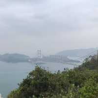 近距離欣賞青馬大橋—青衣自然徑