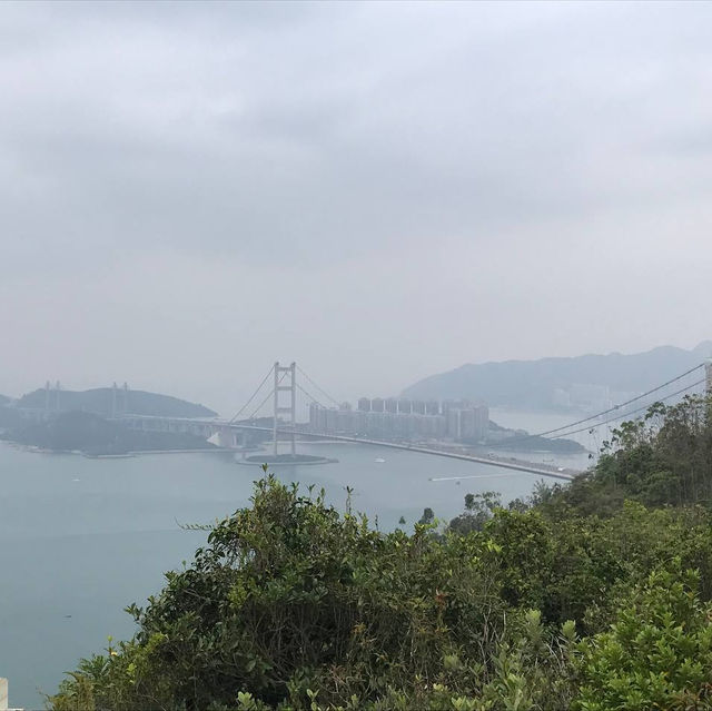 近距離欣賞青馬大橋—青衣自然徑