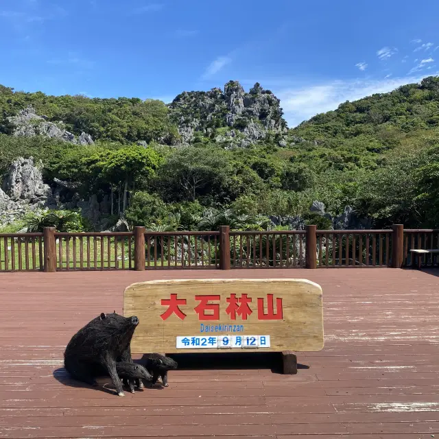 【沖縄･本島】沖縄最北端の自然が創り出すパワースポット