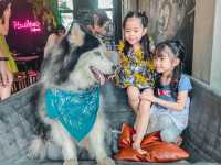 ขอนแก่น ทาสน้องหมาต้องมาคาเฟ่นี้ 🐶