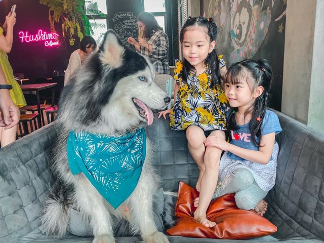 ขอนแก่น ทาสน้องหมาต้องมาคาเฟ่นี้ 🐶