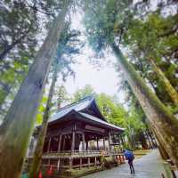 諏訪大社(長野)