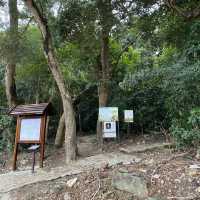 The easiest ‘sharp peak in HK’ 