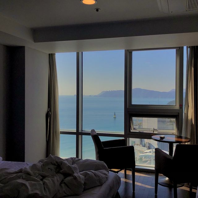 멀리가지 마세요, 숙소 주위에 다 있어!
