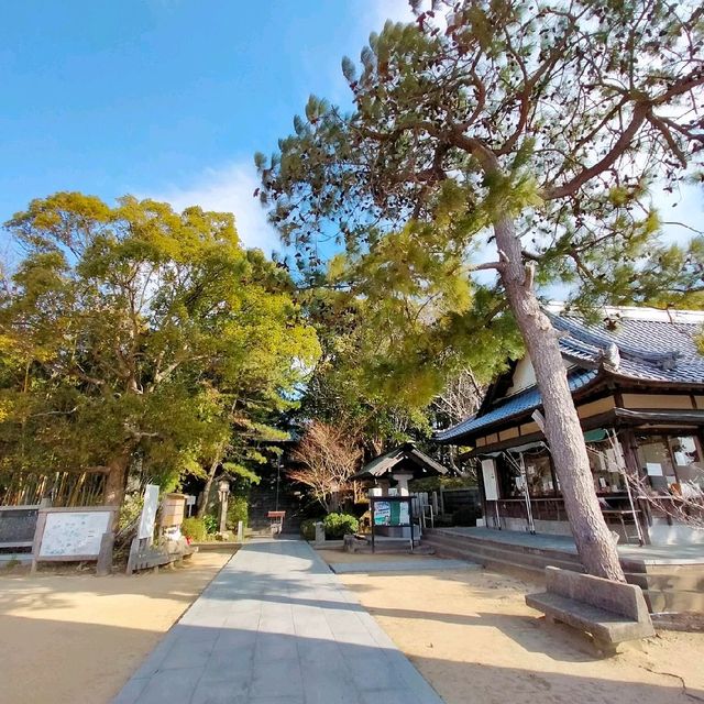 【淡路島 南あわじ】✨⛩️日本の神々誕生の聖地⛩️✨