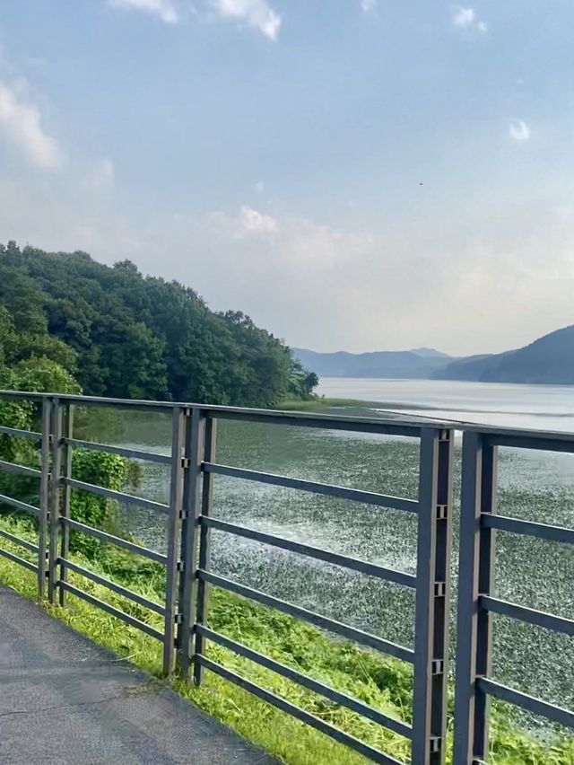 서울 근교 드라이브 코스 추천🚗🚲