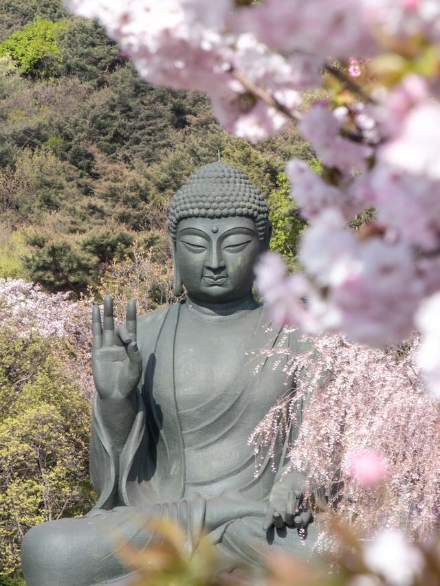 서봄에 빠질 수 없는 서울 근교 여행지 