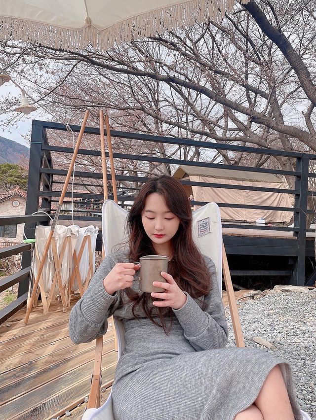 벚꽃 캠핑의 정석, 밀양 "미르캠핑장"