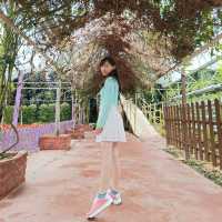 Colmar Tropicale and Genting Trip