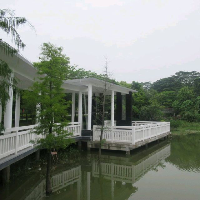 深圳天然大氧吧
