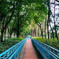 ［夏日好去處！大人細路都適合］卑路乍灣公園