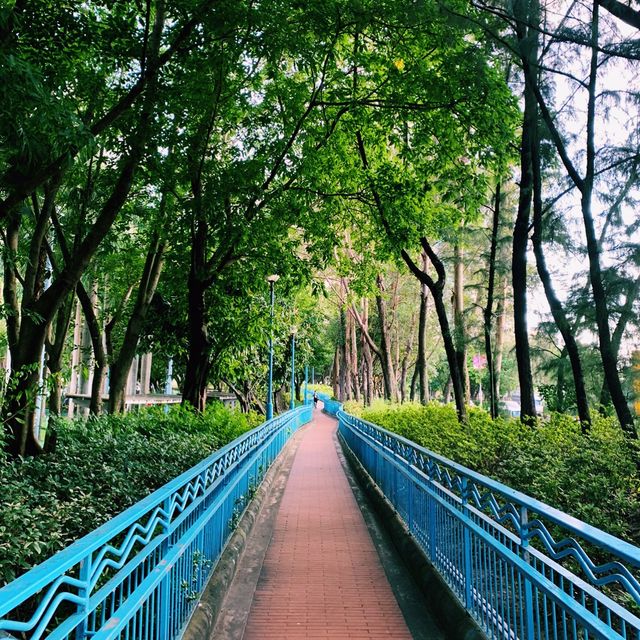 ［夏日好去處！大人細路都適合］卑路乍灣公園