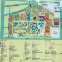 「鳥語花香」九龍公園🌳🦋🐥