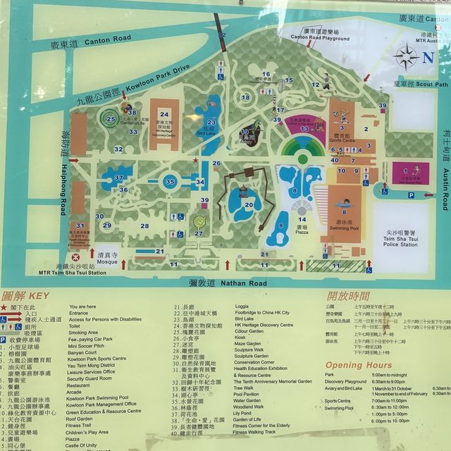 「鳥語花香」九龍公園🌳🦋🐥
