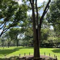 【新宿中央公園〜都会に広がる緑のオアシス〜】