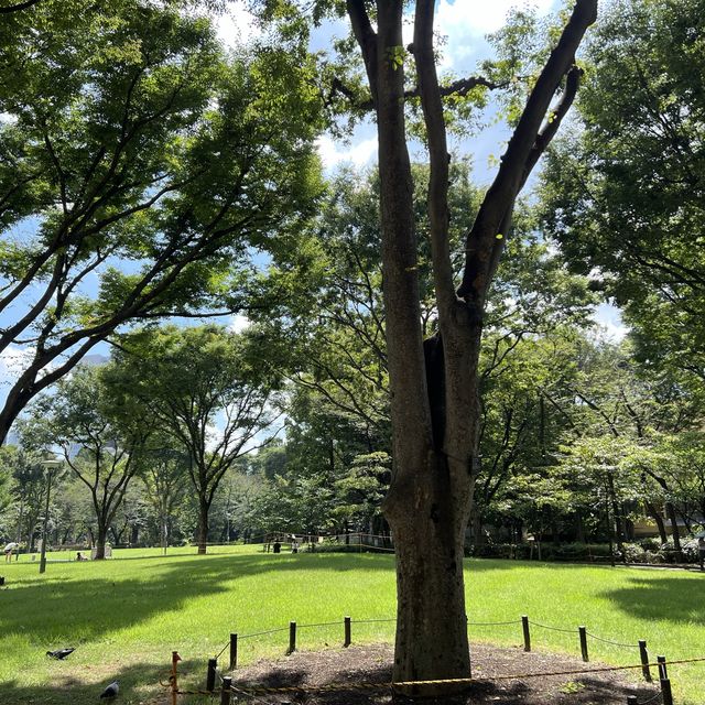 【新宿中央公園〜都会に広がる緑のオアシス〜】