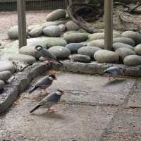 每個地方都可以打卡嘅公園