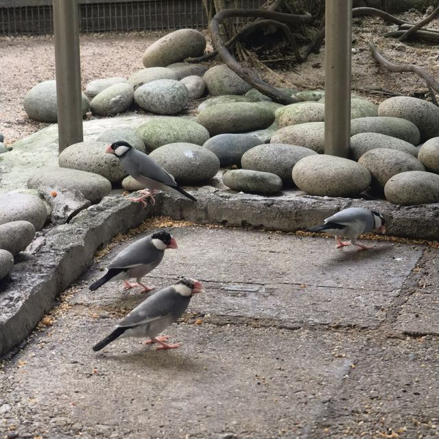 每個地方都可以打卡嘅公園