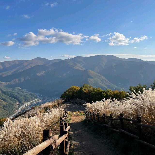 억새꽃 천국 민둥산!