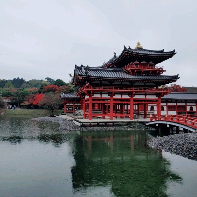 秋の平等院鳳凰堂　宇治