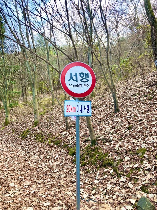 대전 아이와함께 등산하기 좋은