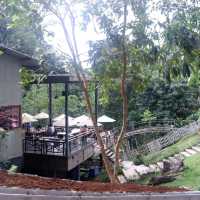พาไปเล่น gangle coster ที่โป่งแยง เชียงใหม่