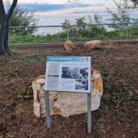 Hiking At Casuarina Coastal Reserve