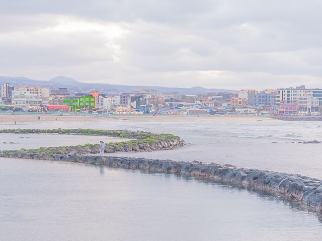 겨울바다가 그립다면 제주 이호테우 해수욕장